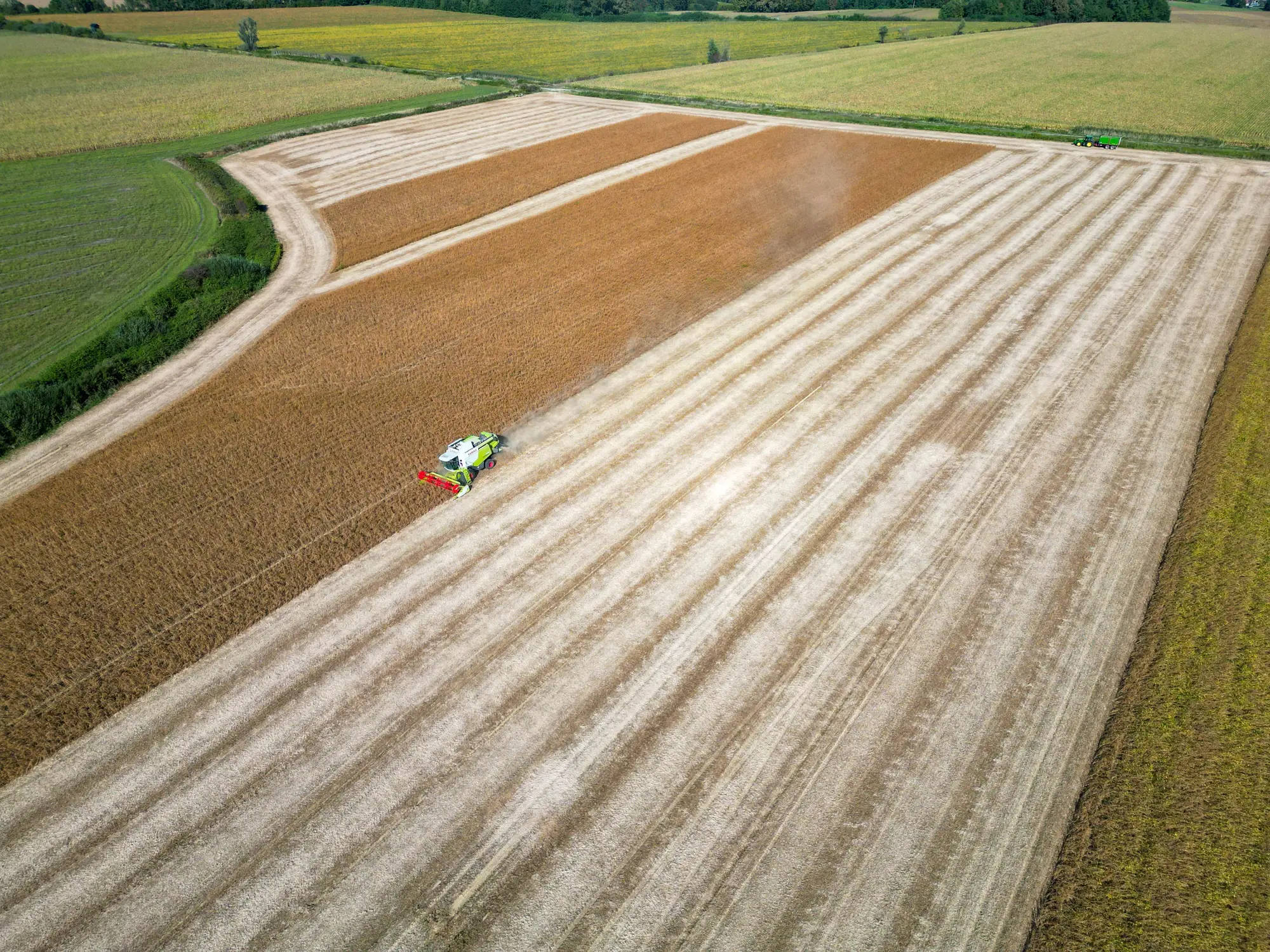 Aerial view of a combine working the edge between cut stubble and standing wheat